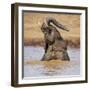 Kenya, Nyeri County-Nigel Pavitt-Framed Photographic Print