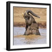 Kenya, Nyeri County-Nigel Pavitt-Framed Photographic Print