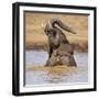 Kenya, Nyeri County-Nigel Pavitt-Framed Photographic Print