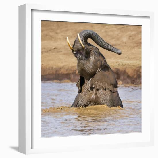 Kenya, Nyeri County-Nigel Pavitt-Framed Photographic Print