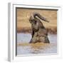 Kenya, Nyeri County-Nigel Pavitt-Framed Photographic Print