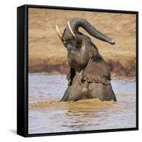 Kenya, Nyeri County-Nigel Pavitt-Framed Stretched Canvas