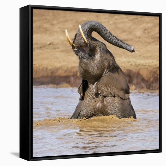 Kenya, Nyeri County-Nigel Pavitt-Framed Stretched Canvas