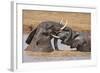 Kenya, Nyeri County-Nigel Pavitt-Framed Photographic Print