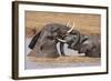 Kenya, Nyeri County-Nigel Pavitt-Framed Photographic Print