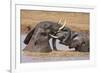 Kenya, Nyeri County-Nigel Pavitt-Framed Photographic Print