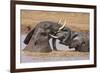 Kenya, Nyeri County-Nigel Pavitt-Framed Photographic Print