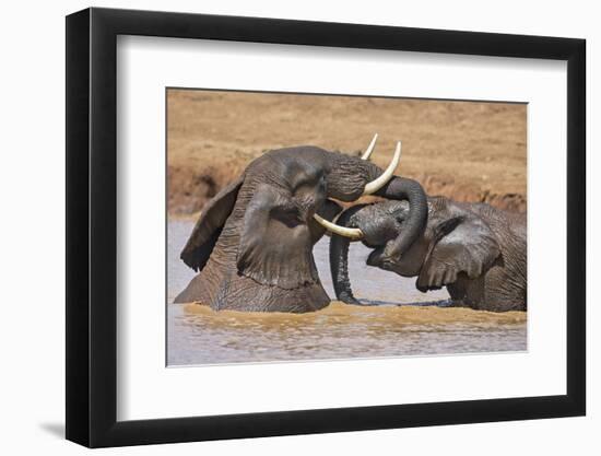 Kenya, Nyeri County-Nigel Pavitt-Framed Photographic Print