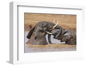 Kenya, Nyeri County-Nigel Pavitt-Framed Photographic Print