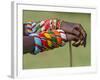 Kenya, Samburu County-Nigel Pavitt-Framed Photographic Print