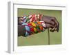 Kenya, Samburu County-Nigel Pavitt-Framed Photographic Print