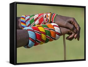 Kenya, Samburu County-Nigel Pavitt-Framed Stretched Canvas