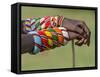 Kenya, Samburu County-Nigel Pavitt-Framed Stretched Canvas