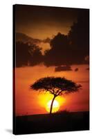 Kenya Sunrise-Susann Parker-Stretched Canvas