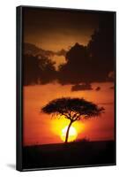 Kenya Sunrise-Susann Parker-Framed Photographic Print