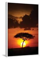 Kenya Sunrise-Susann Parker-Framed Photographic Print