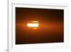 Kenya Sunset over Maasai Mara National Park-null-Framed Photographic Print