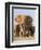 Kenya, Taita-Taveta County, Tsavo East National Park. a Herd of Elephants.-Nigel Pavitt-Framed Photographic Print