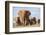 Kenya, Taita-Taveta County, Tsavo East National Park. a Herd of Elephants.-Nigel Pavitt-Framed Photographic Print