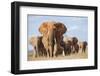 Kenya, Taita-Taveta County, Tsavo East National Park. a Herd of Elephants.-Nigel Pavitt-Framed Photographic Print