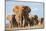Kenya, Taita-Taveta County, Tsavo East National Park. a Herd of Elephants.-Nigel Pavitt-Mounted Photographic Print