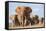 Kenya, Taita-Taveta County, Tsavo East National Park. a Herd of Elephants.-Nigel Pavitt-Framed Stretched Canvas