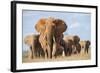 Kenya, Taita-Taveta County, Tsavo East National Park. a Herd of Elephants.-Nigel Pavitt-Framed Photographic Print