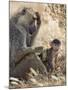 Kenya, Taita-Taveta County, Tsavo East National Park. an Olive Baboon with Her Baby.-Nigel Pavitt-Mounted Photographic Print