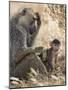 Kenya, Taita-Taveta County, Tsavo East National Park. an Olive Baboon with Her Baby.-Nigel Pavitt-Mounted Photographic Print