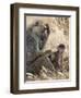 Kenya, Taita-Taveta County, Tsavo East National Park. an Olive Baboon with Her Baby.-Nigel Pavitt-Framed Photographic Print