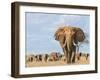 Kenya, Taita-Taveta County-Nigel Pavitt-Framed Photographic Print