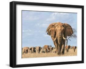 Kenya, Taita-Taveta County-Nigel Pavitt-Framed Photographic Print