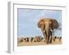 Kenya, Taita-Taveta County-Nigel Pavitt-Framed Photographic Print