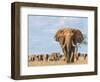 Kenya, Taita-Taveta County-Nigel Pavitt-Framed Photographic Print