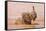 Kenya, Taita-Taveta County-Nigel Pavitt-Framed Stretched Canvas