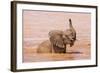 Kenya, Taita-Taveta County-Nigel Pavitt-Framed Photographic Print