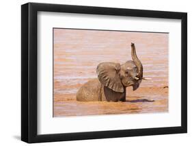 Kenya, Taita-Taveta County-Nigel Pavitt-Framed Photographic Print