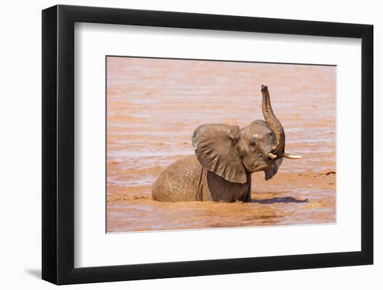 Kenya, Taita-Taveta County-Nigel Pavitt-Framed Photographic Print