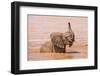 Kenya, Taita-Taveta County-Nigel Pavitt-Framed Photographic Print