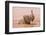 Kenya, Taita-Taveta County-Nigel Pavitt-Framed Photographic Print