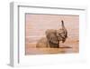 Kenya, Taita-Taveta County-Nigel Pavitt-Framed Photographic Print