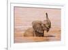 Kenya, Taita-Taveta County-Nigel Pavitt-Framed Photographic Print