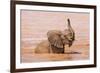 Kenya, Taita-Taveta County-Nigel Pavitt-Framed Photographic Print