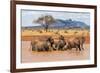 Kenya, Taita-Taveta County-Nigel Pavitt-Framed Photographic Print