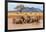 Kenya, Taita-Taveta County-Nigel Pavitt-Framed Photographic Print