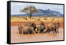 Kenya, Taita-Taveta County-Nigel Pavitt-Framed Stretched Canvas