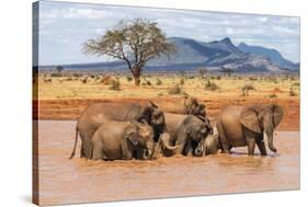 Kenya, Taita-Taveta County-Nigel Pavitt-Stretched Canvas