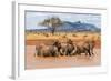 Kenya, Taita-Taveta County-Nigel Pavitt-Framed Photographic Print