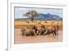 Kenya, Taita-Taveta County-Nigel Pavitt-Framed Premium Photographic Print