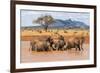 Kenya, Taita-Taveta County-Nigel Pavitt-Framed Premium Photographic Print